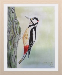 My woodpecker sketch :-)